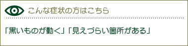 「黒いものが動く」「見えづらい箇所がある」